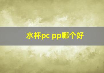 水杯pc pp哪个好